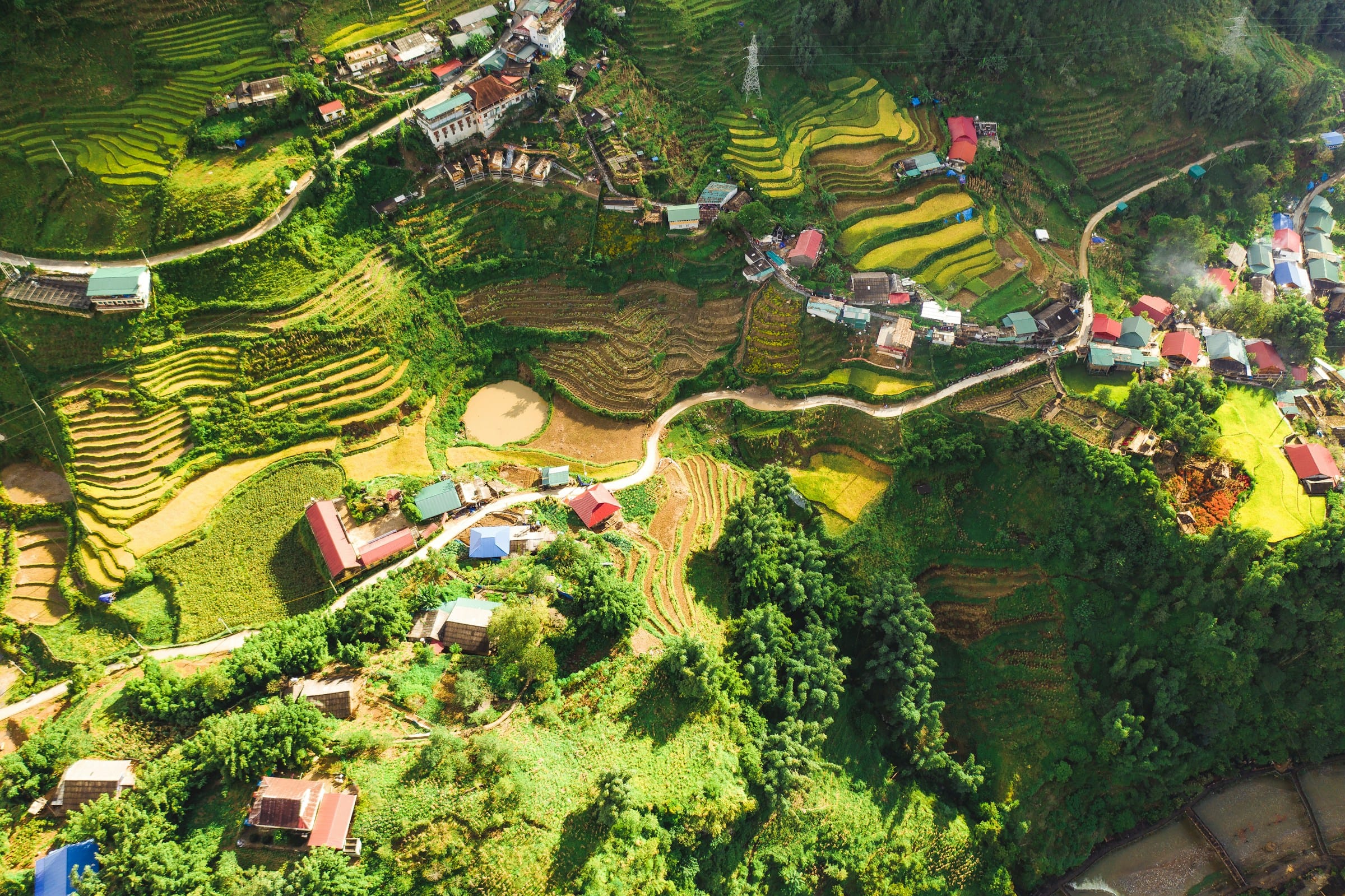 The Ultimate Guide to Sapa Tours: Trekking, Culture, and Breathtaking Landscapes in Vietnam’s Northern Highlands
